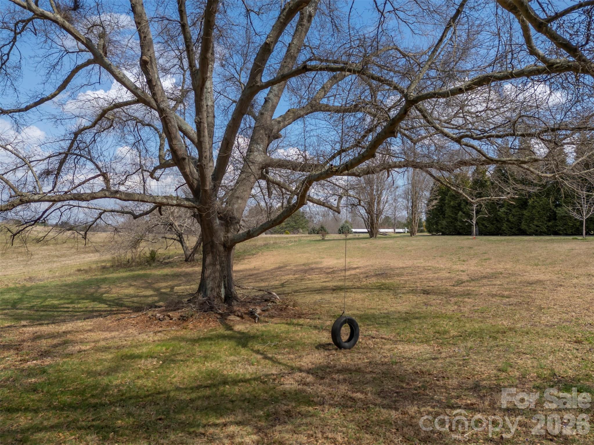 414 Sandy Run Church Road Mooresboro, NC 28114 - Photo 3 of 38 a view of yard with trees
