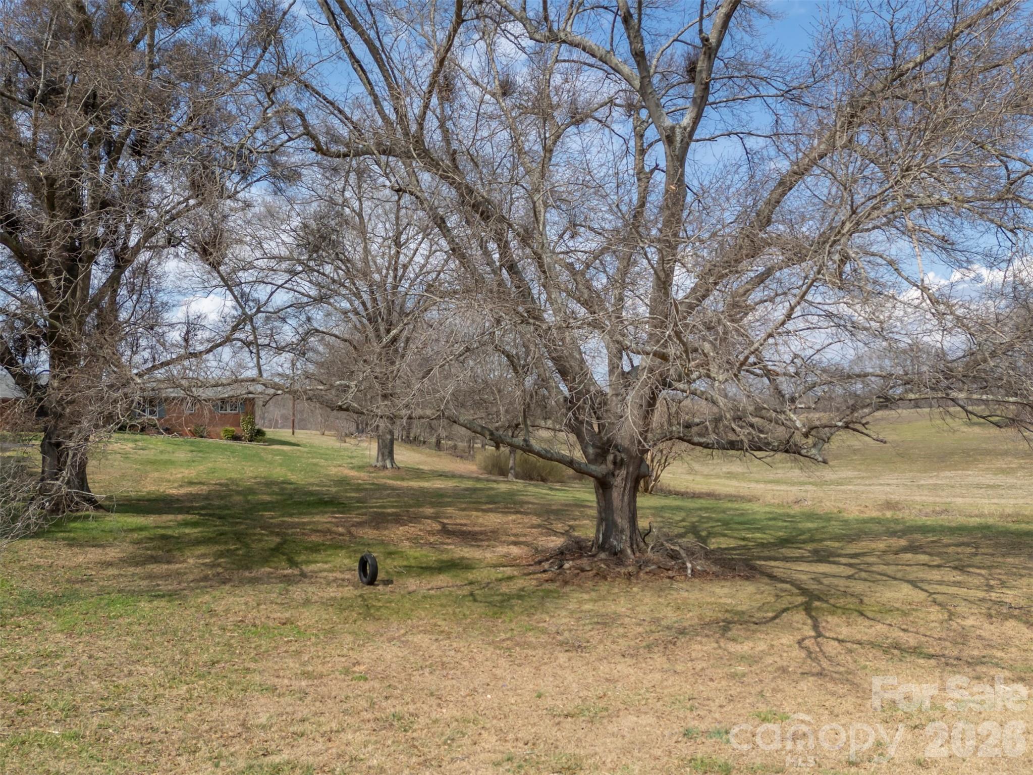 414 Sandy Run Church Road Mooresboro, NC 28114 - Photo 37 of 38 a view of a yard with an trees