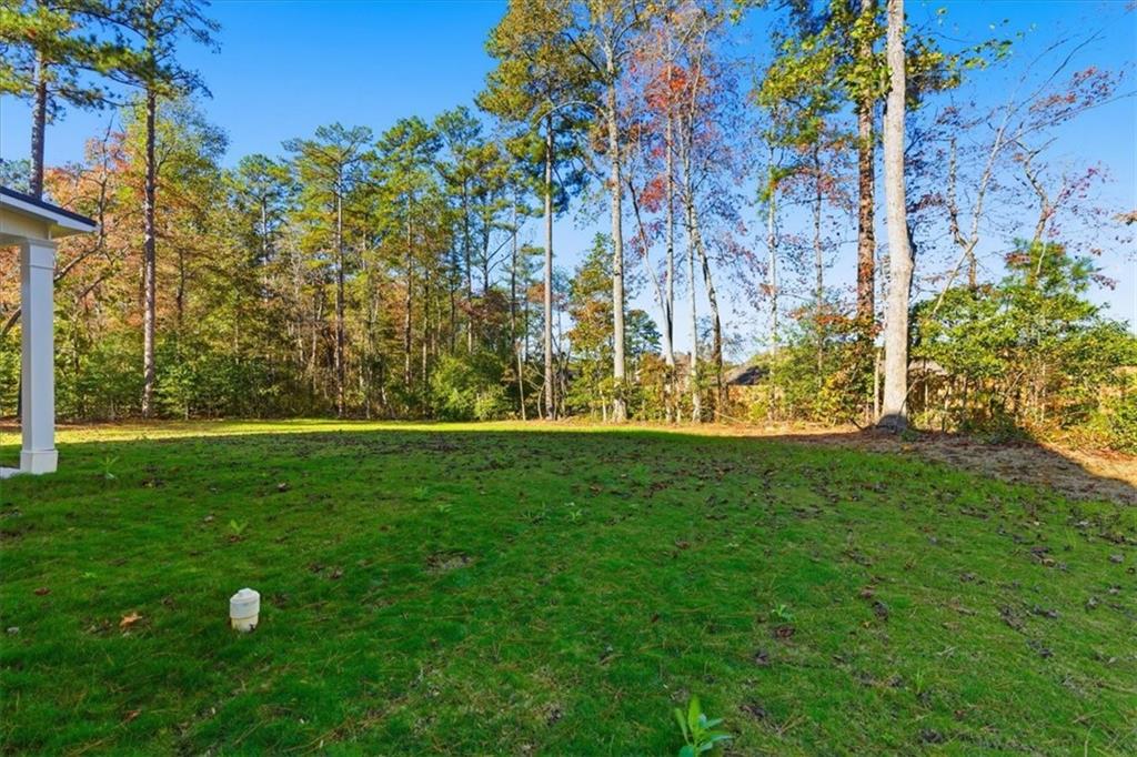 7762 Capps Ridge Lane Douglasville, GA 30135 - Photo 51 of 54