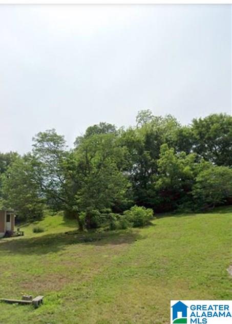 3800 Gillispie Road Dolomite, AL 35061 - Photo 1 of 2