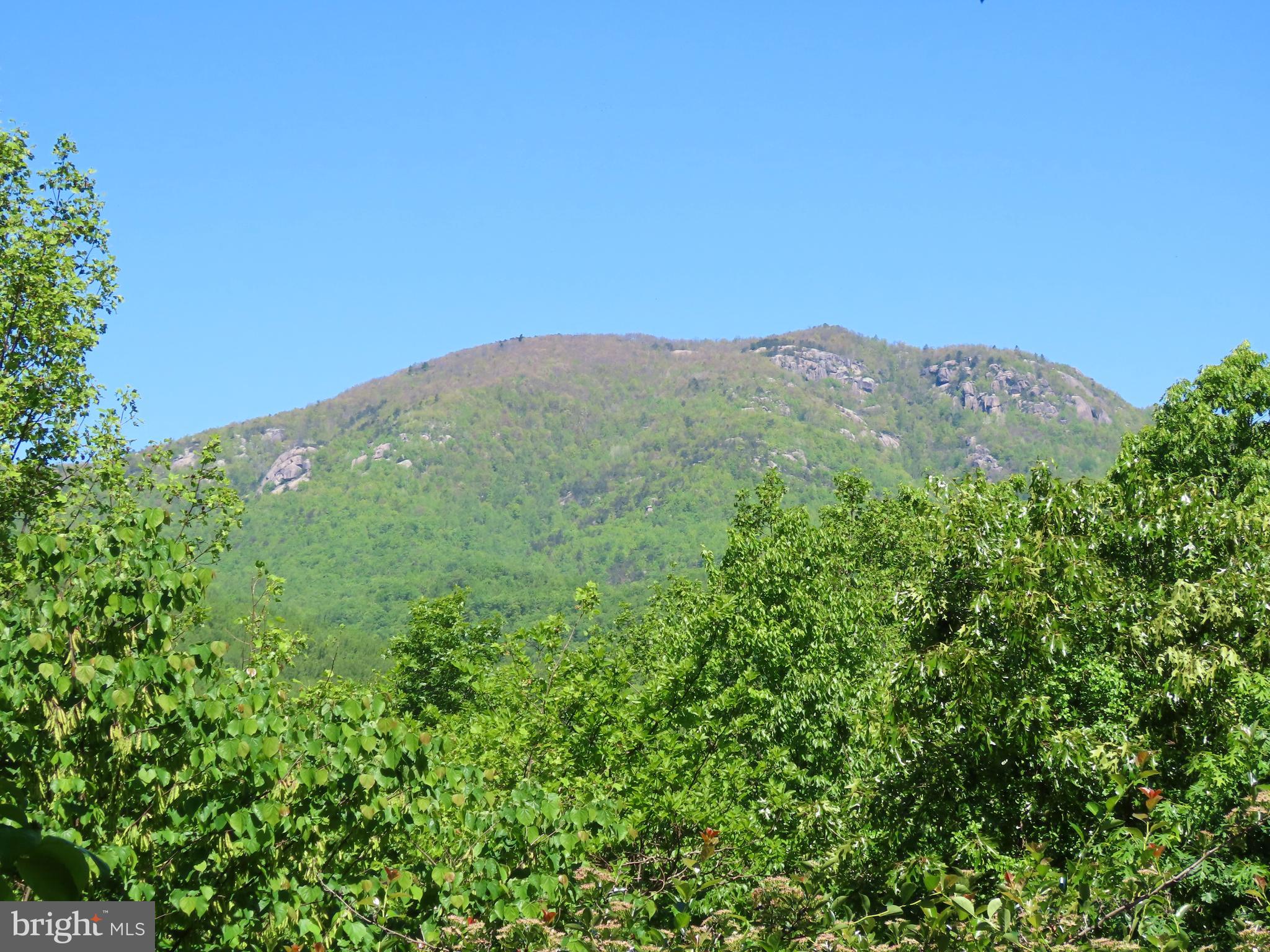 3016 Etlan Road Etlan, VA 22719 - Photo 5 of 42 Old Rag Mountain in early Spring - view from house