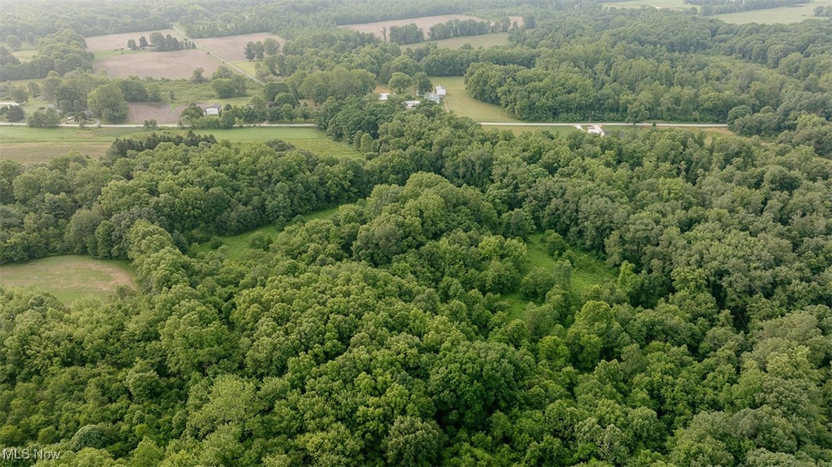 Mcclintocksburg Road Newton Falls, OH 44444 - Photo 5 of 5 Bird's eye view of a forest