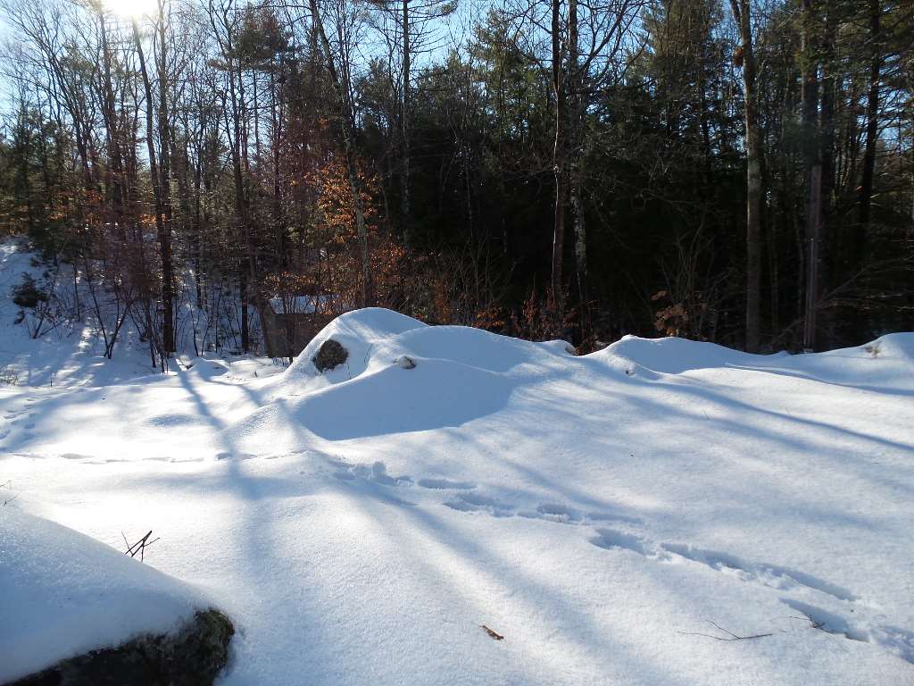 691 Berry River Road Barrington, NH 03825 - Photo 2 of 6