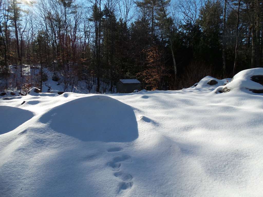 691 Berry River Road Barrington, NH 03825 - Photo 3 of 6