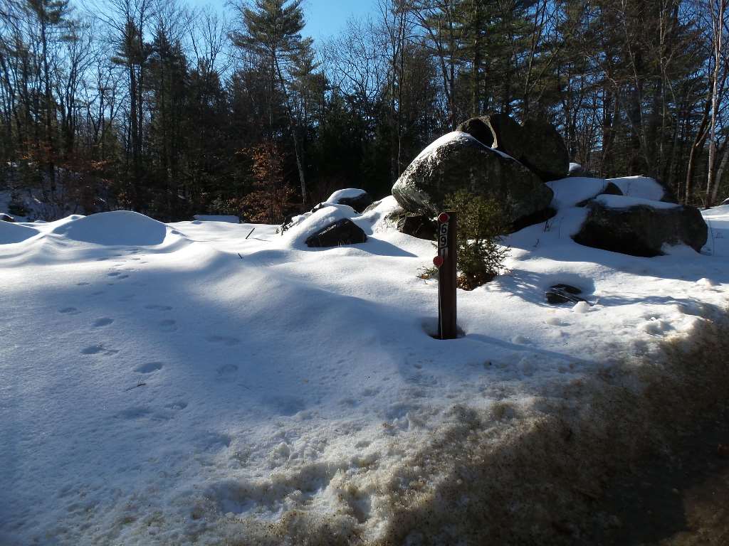691 Berry River Road Barrington, NH 03825 - Photo 4 of 6