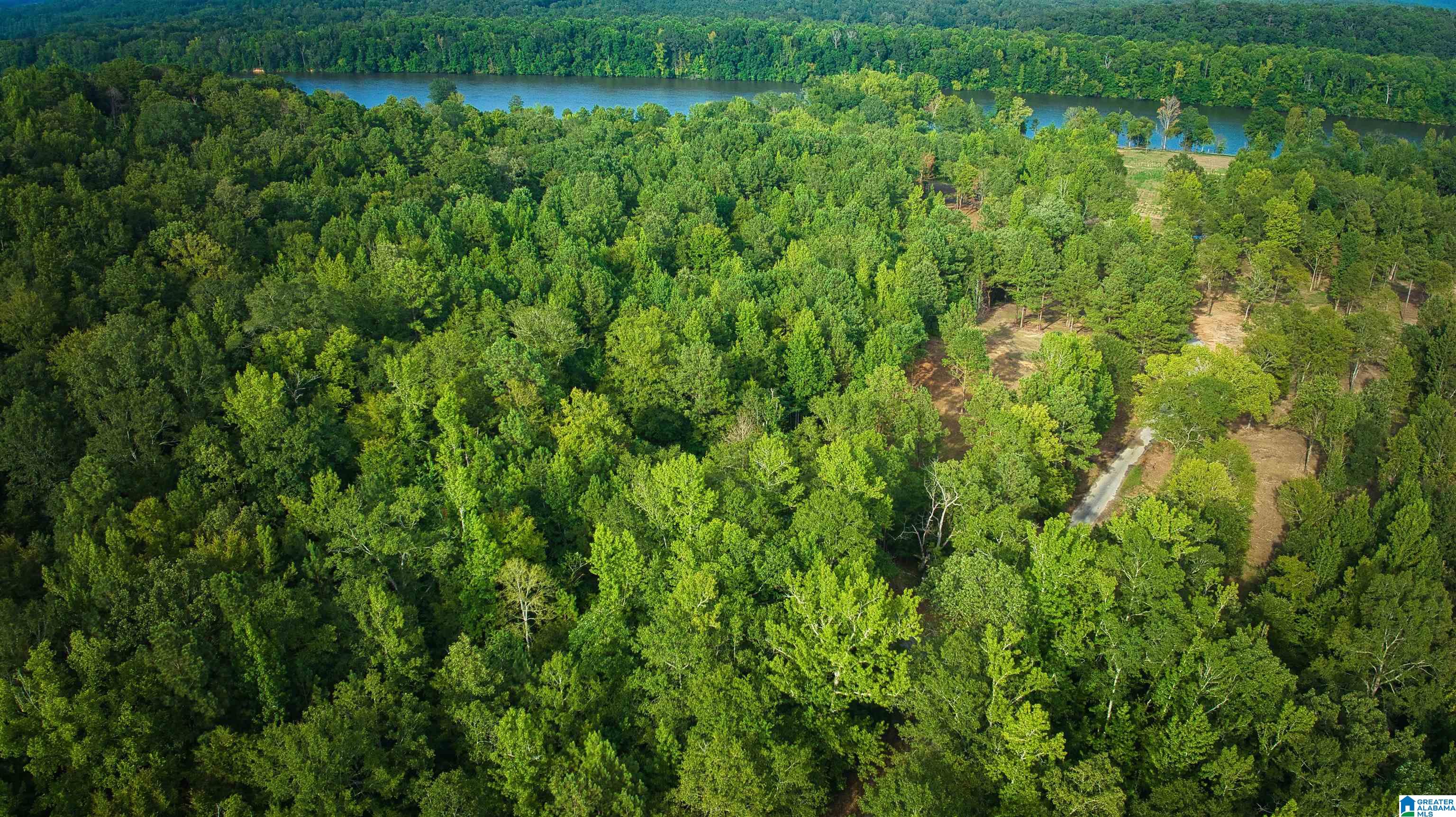 Lot 20 Wester Road, Unit LOT 20 Ragland, AL 35131 - Photo 63 of 68