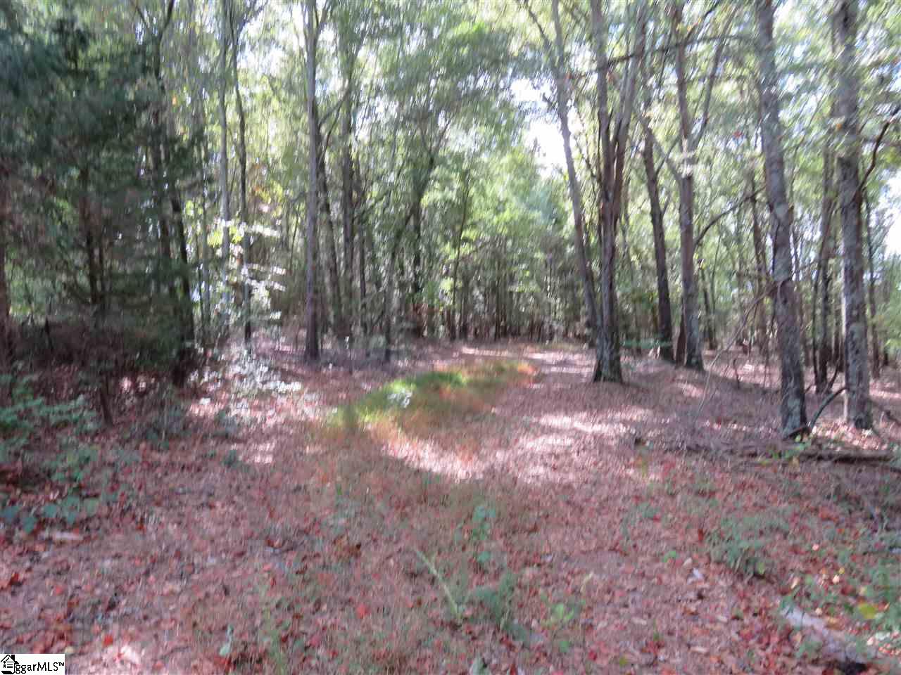 1612 Neely Ferry Road, Unit TRACT C Simpsonville, SC 29680 - Photo 2 of 5