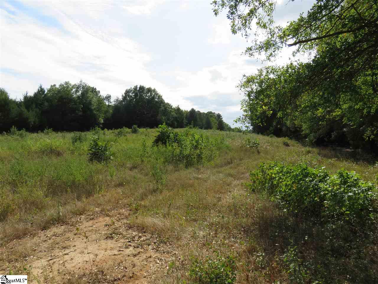 1612 Neely Ferry Road, Unit TRACT C Simpsonville, SC 29680 - Photo 3 of 5