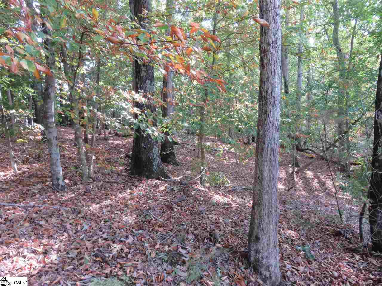 1612 Neely Ferry Road, Unit TRACT C Simpsonville, SC 29680 - Photo 4 of 5