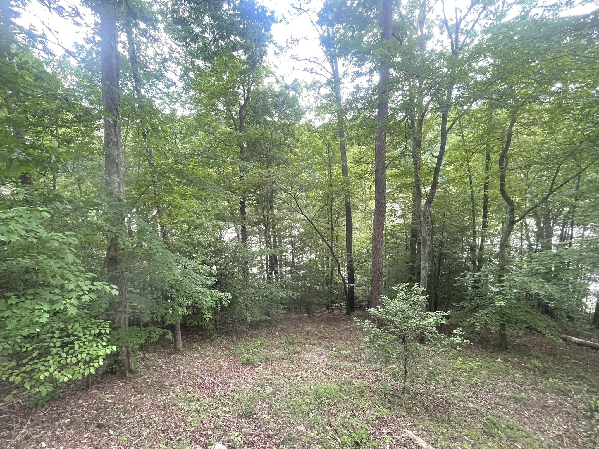 1647 Clark Bottom Road London, KY 40744 - Photo 23 of 30 IMG_1681