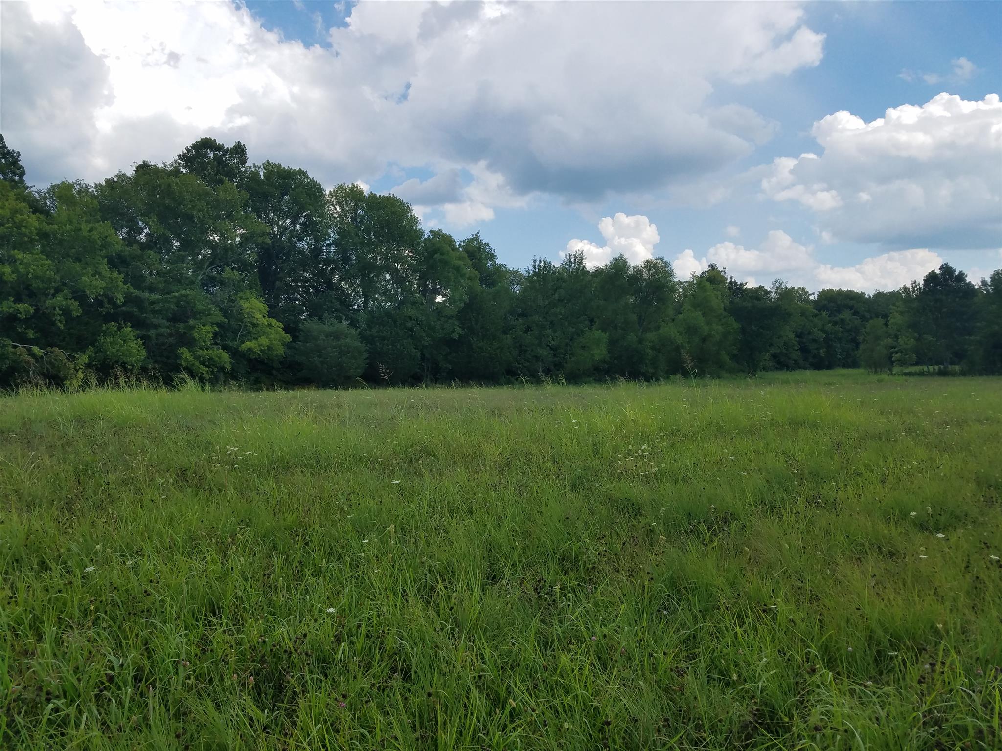 1800 Holloway Road Lebanon, TN 37090 - Photo 1 of 5