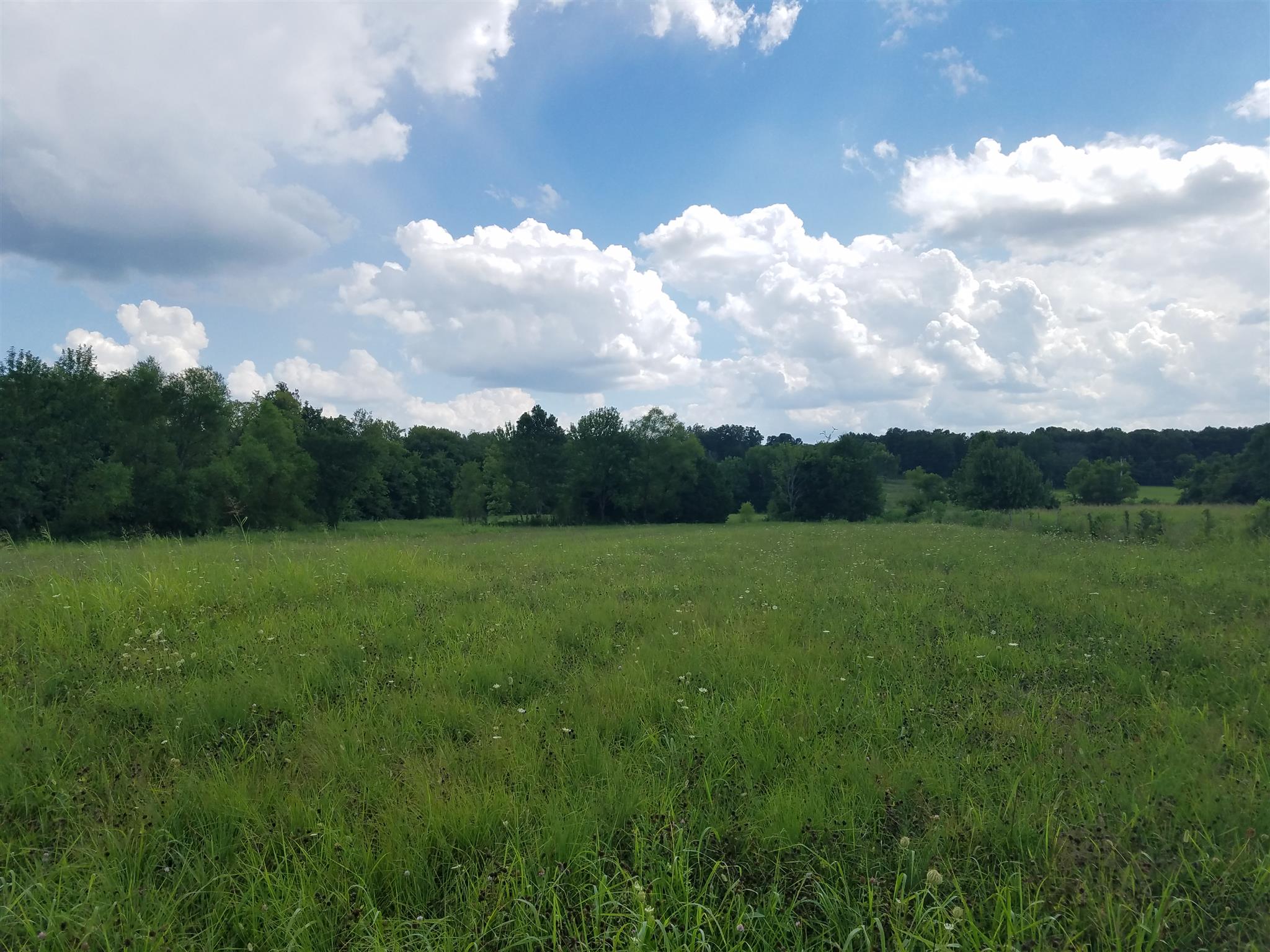 1800 Holloway Road Lebanon, TN 37090 - Photo 2 of 5