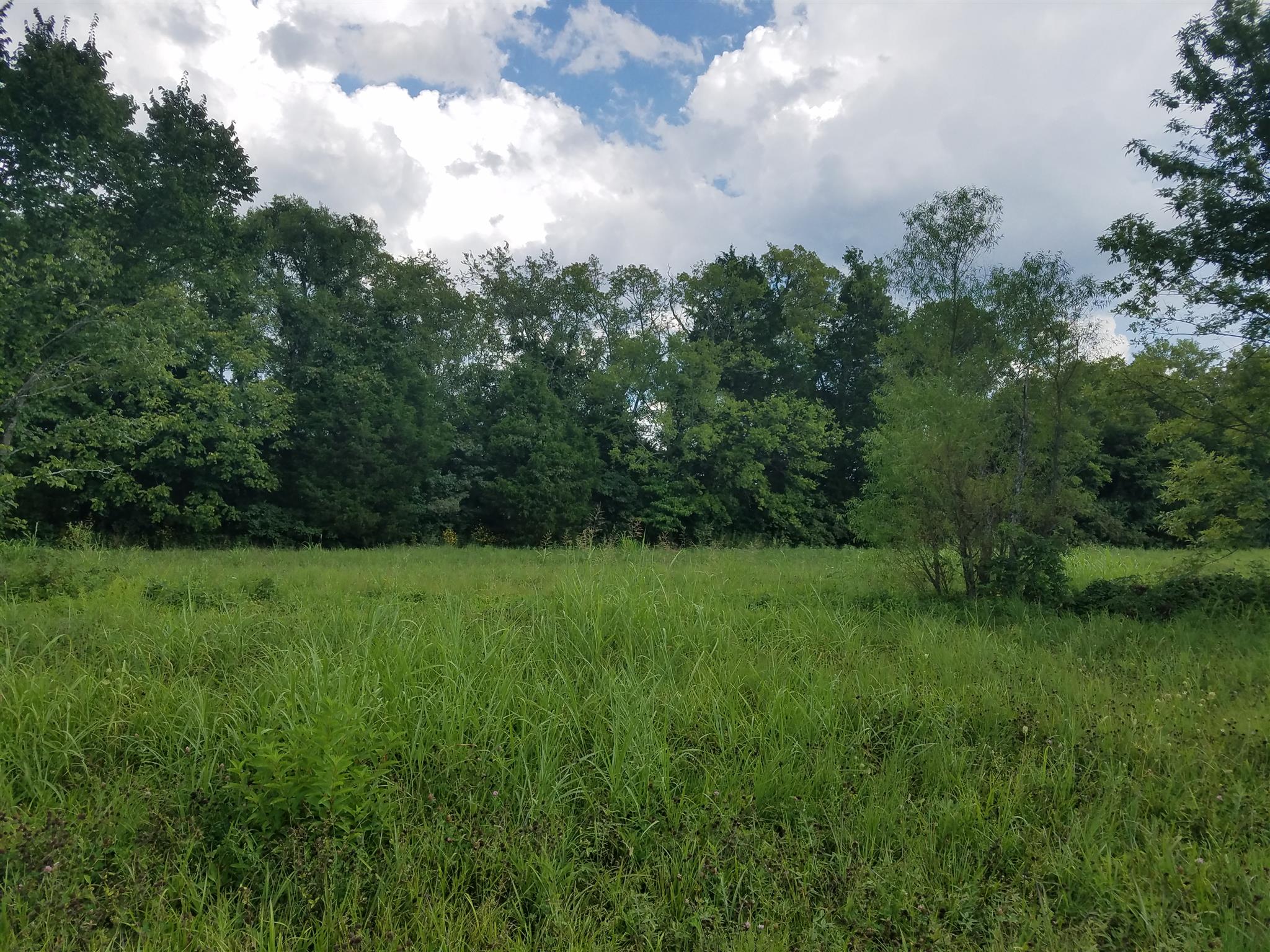 1800 Holloway Road Lebanon, TN 37090 - Photo 3 of 5