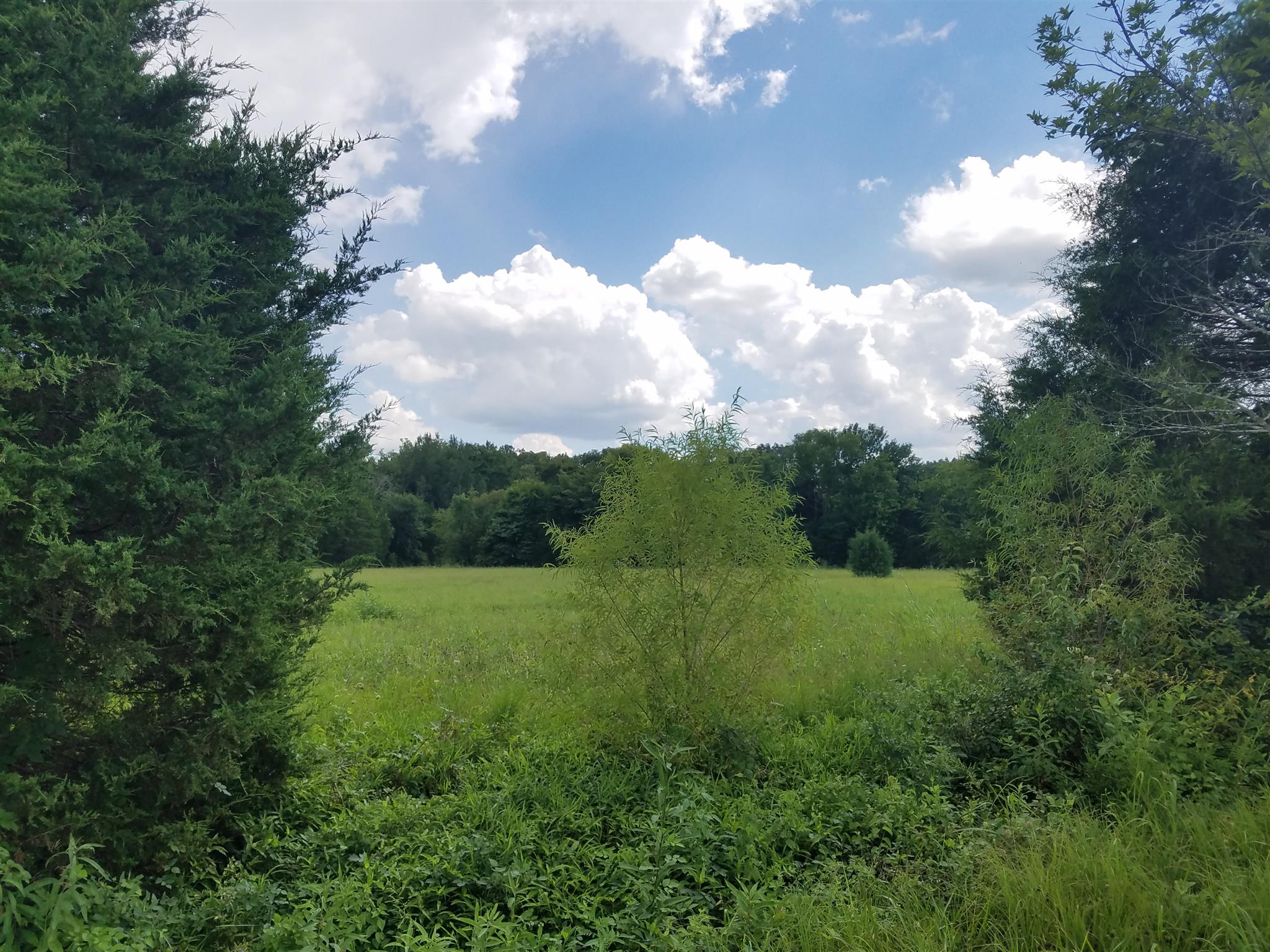 1800 Holloway Road Lebanon, TN 37090 - Photo 4 of 5
