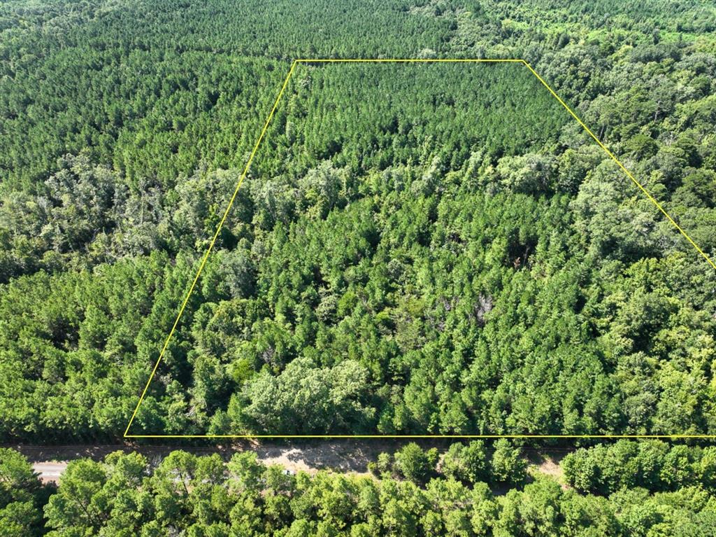 Tbd Sam Booker Road Mansfield, LA 71052 - Photo 1 of 14 Aerial view of property and surrounding area with property boundaries highlighted and a forest