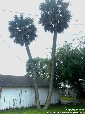 a view of a house with a tree and a yard