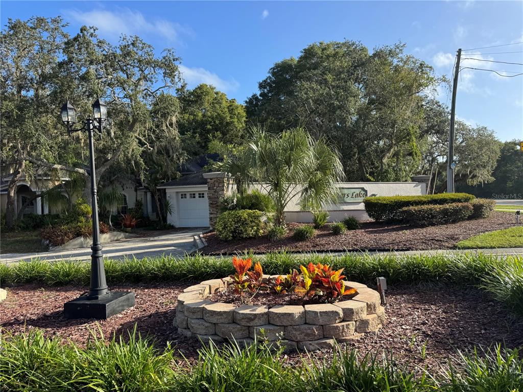 12349 Wasatch Court New Port Richey, FL 34654 - Photo 8 of 34 a view of a backyard with plants and a patio
