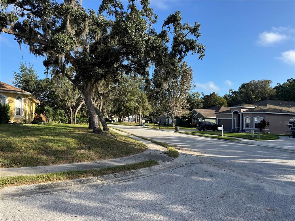 12349 Wasatch Court New Port Richey, FL 34654 - Photo 9 of 34 a view of road with trees