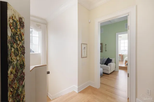 a living room with furniture a rug potted plant and a large window