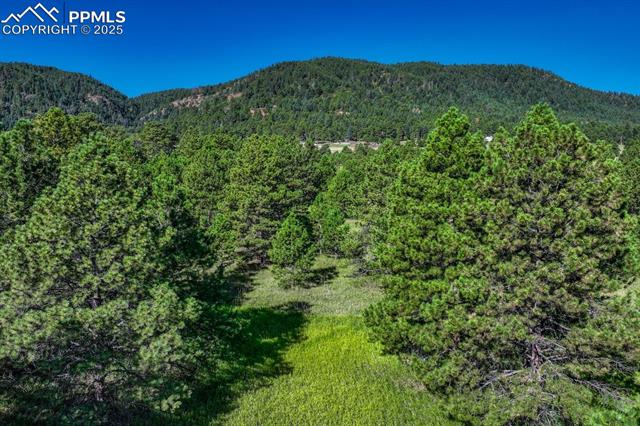 Perry Park Road Larkspur, CO 80118 - Photo 40 of 50 Gallery Image 40