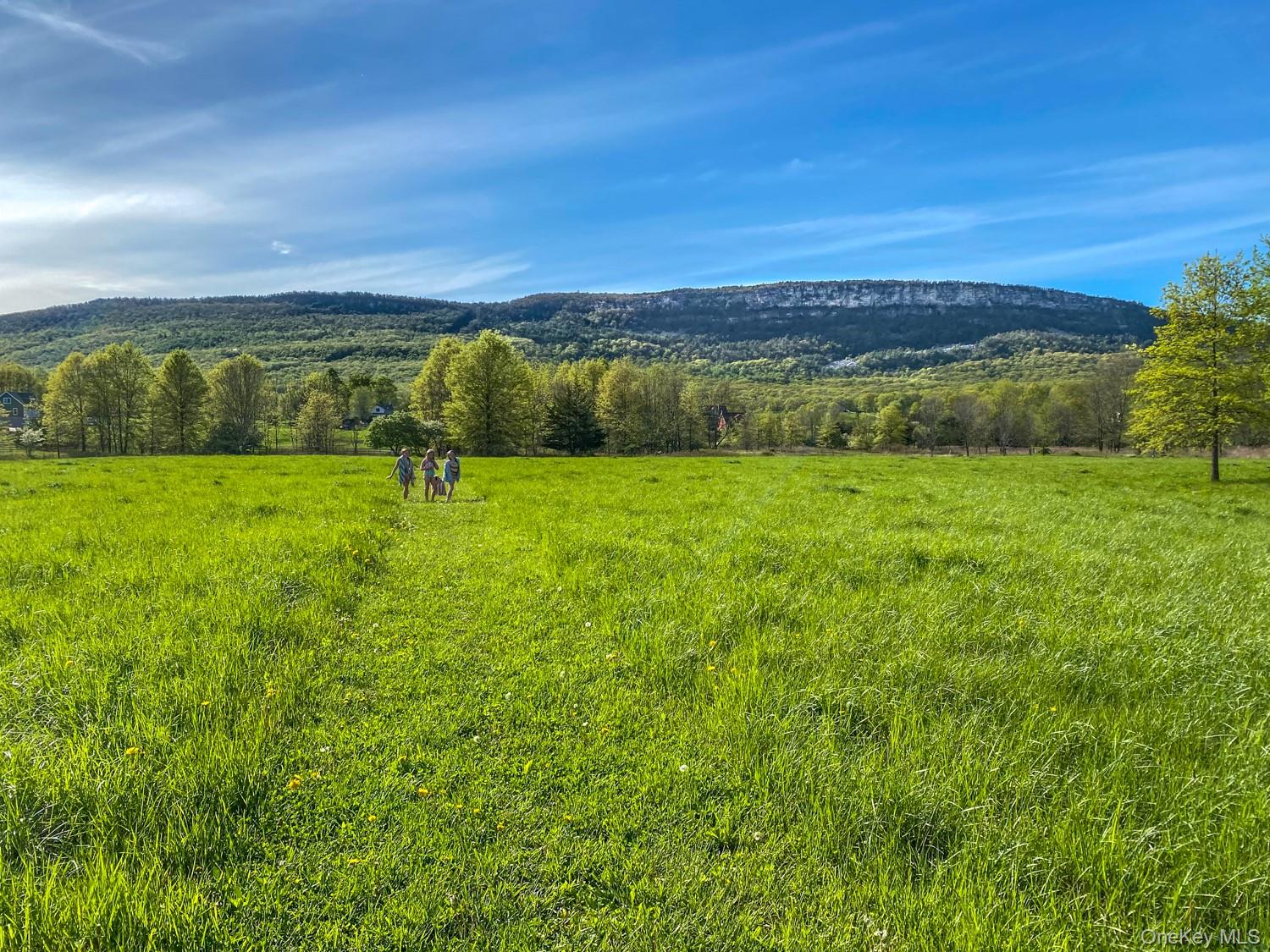 1201 Bruynswick Road Gardiner, NY 12525 - Photo 2 of 30 a view of an outdoor space and mountain view