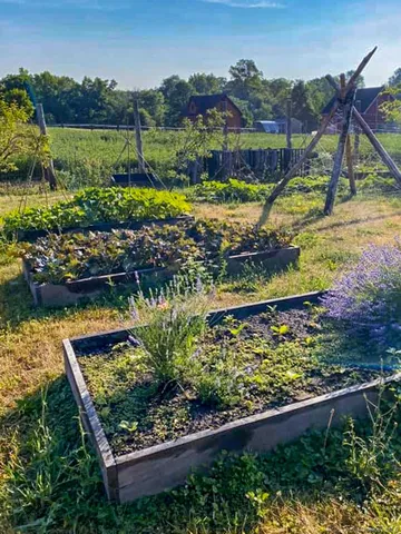 a view of a backyard with wooden fence