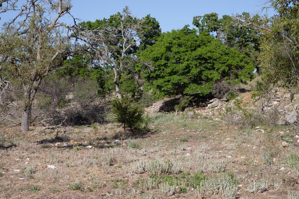 2210 Dinosaur Ranch Road Harper, TX 78631 - Photo 48 of 48 Gallery Image 48