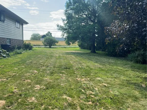 a view of a field with trees