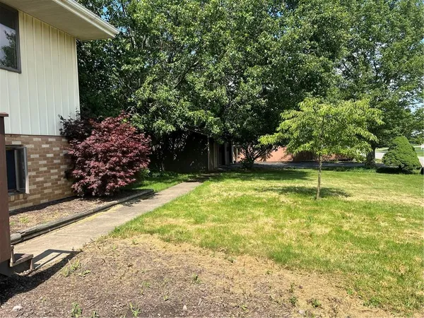 a view of a backyard