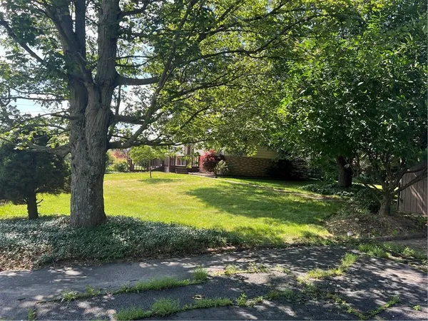 a view of a yard with a tree