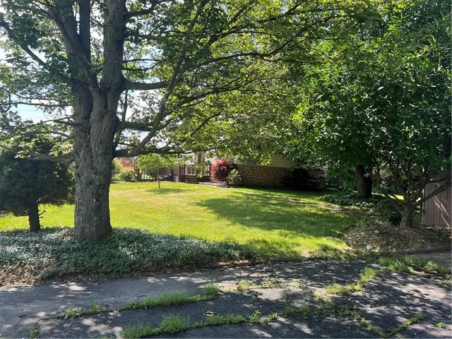 a view of a yard with a tree