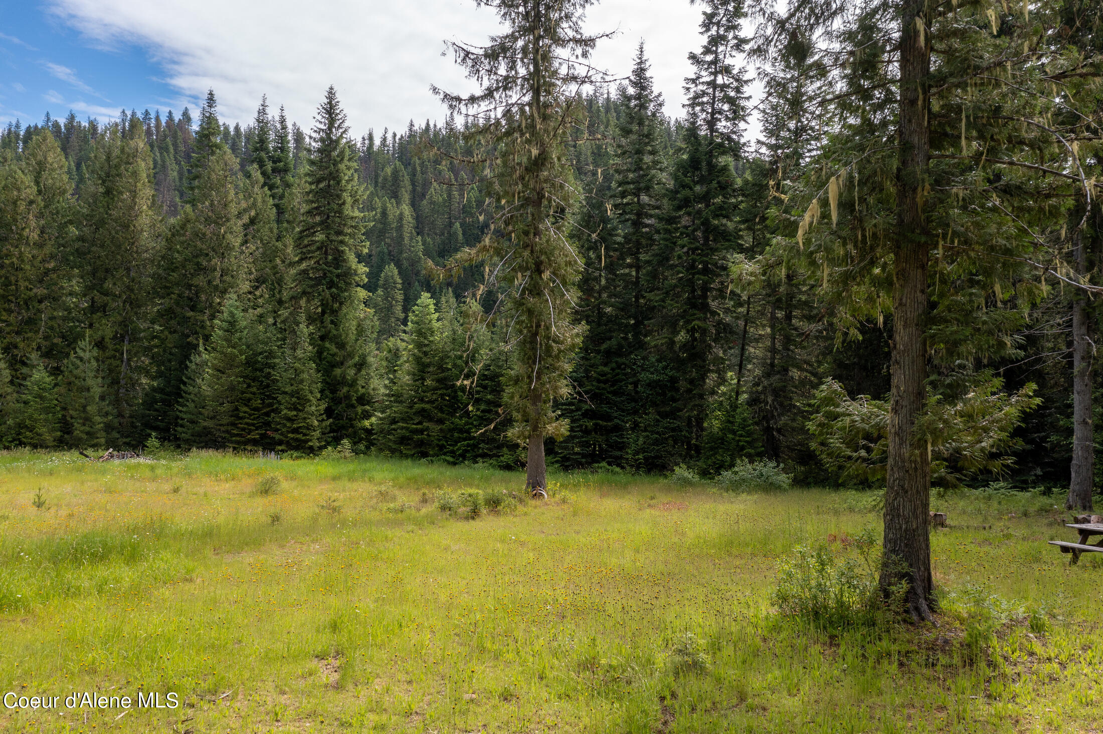 Nna Beaver Creek Road Wallace, ID 83873 - Photo 19 of 57 DJI_0801-HDR-30