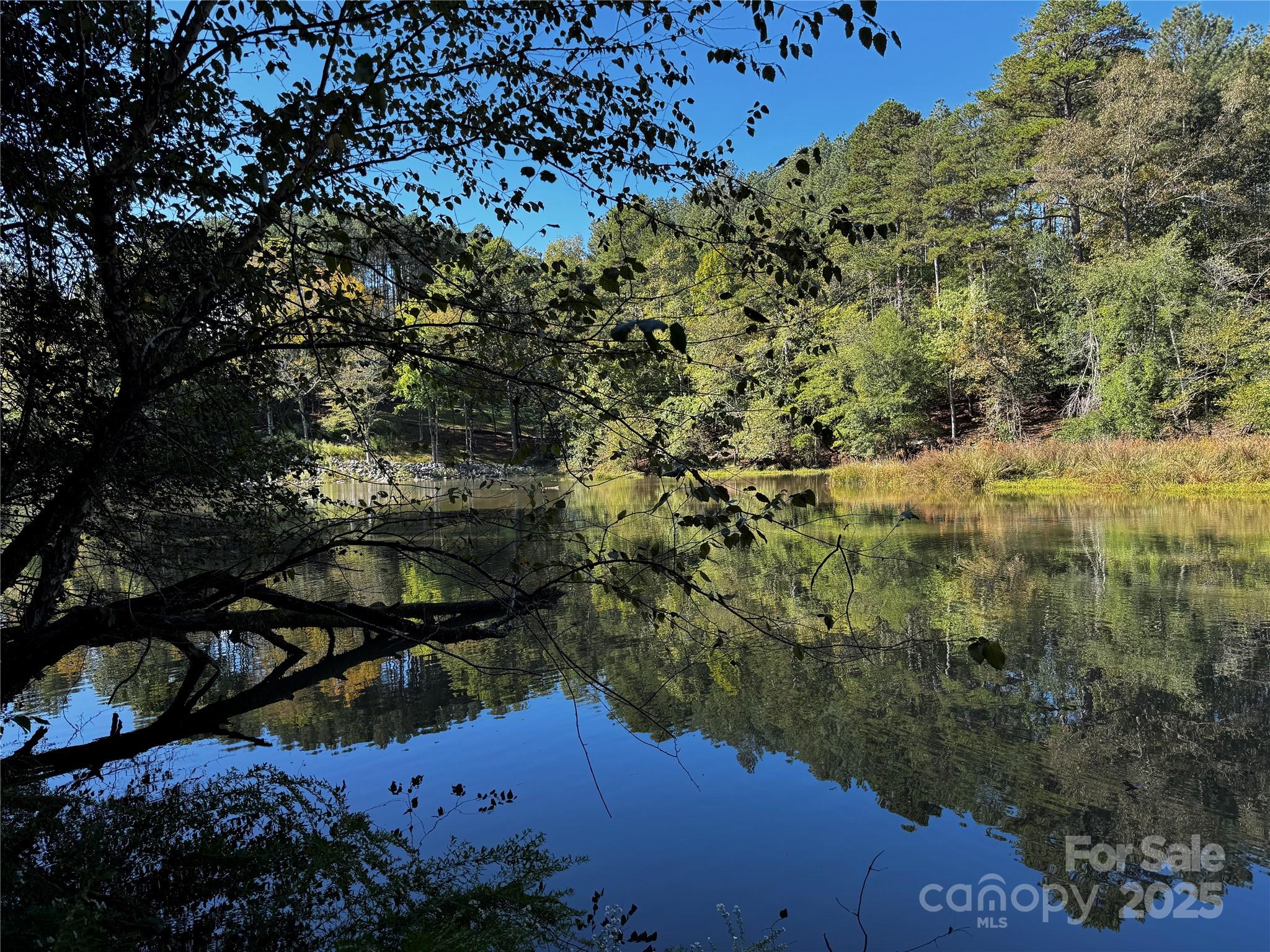 a view of an outdoor space and street view
