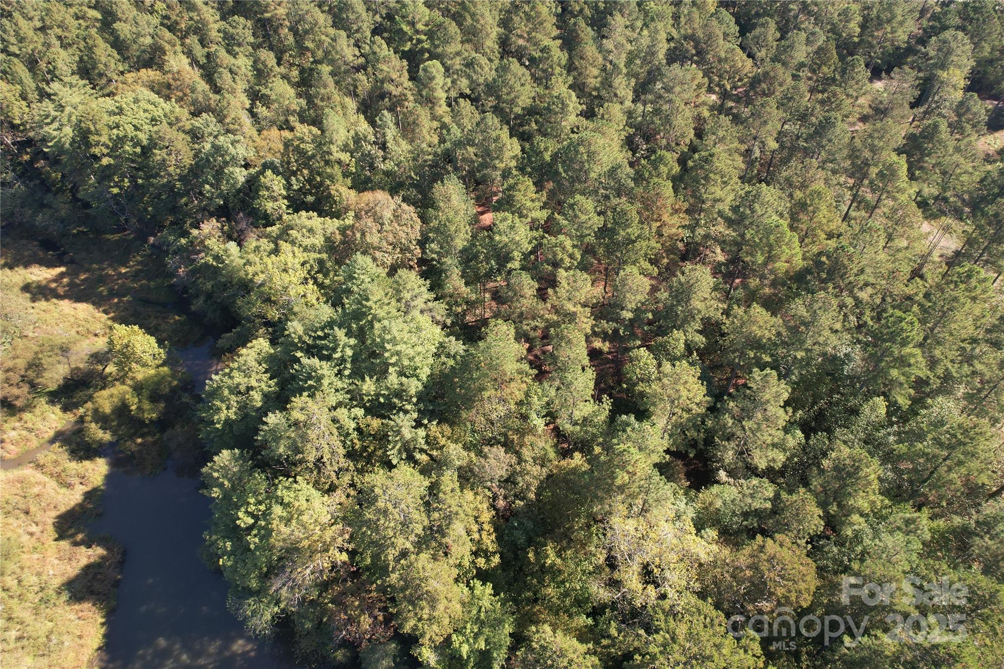 0 Hayes Mill Road, Unit A1 Granite Falls, NC 28630 - Photo 20 of 34 a view of a tree