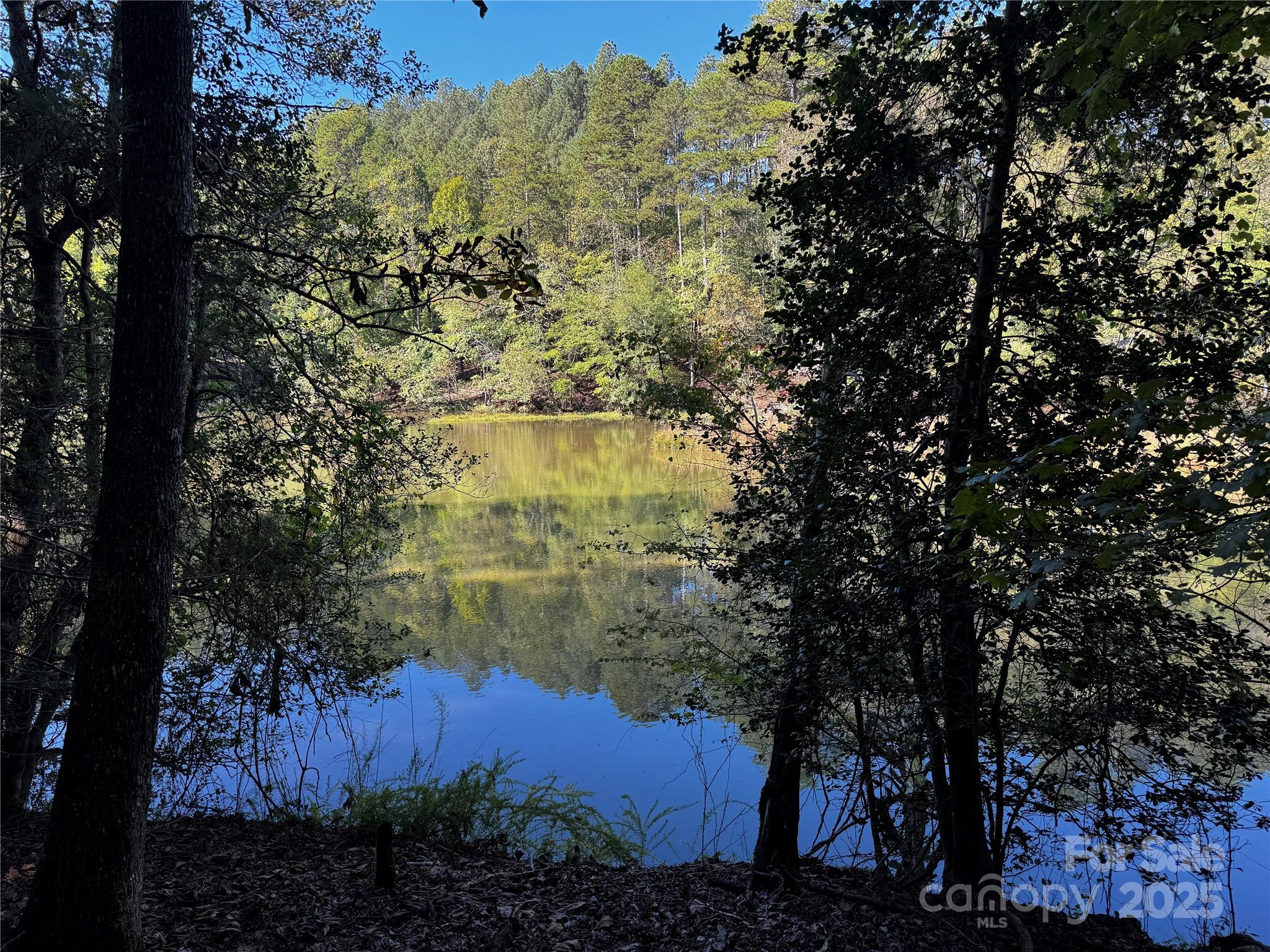 0 Hayes Mill Road, Unit A1 Granite Falls, NC 28630 - Photo 23 of 34 a view of a yard