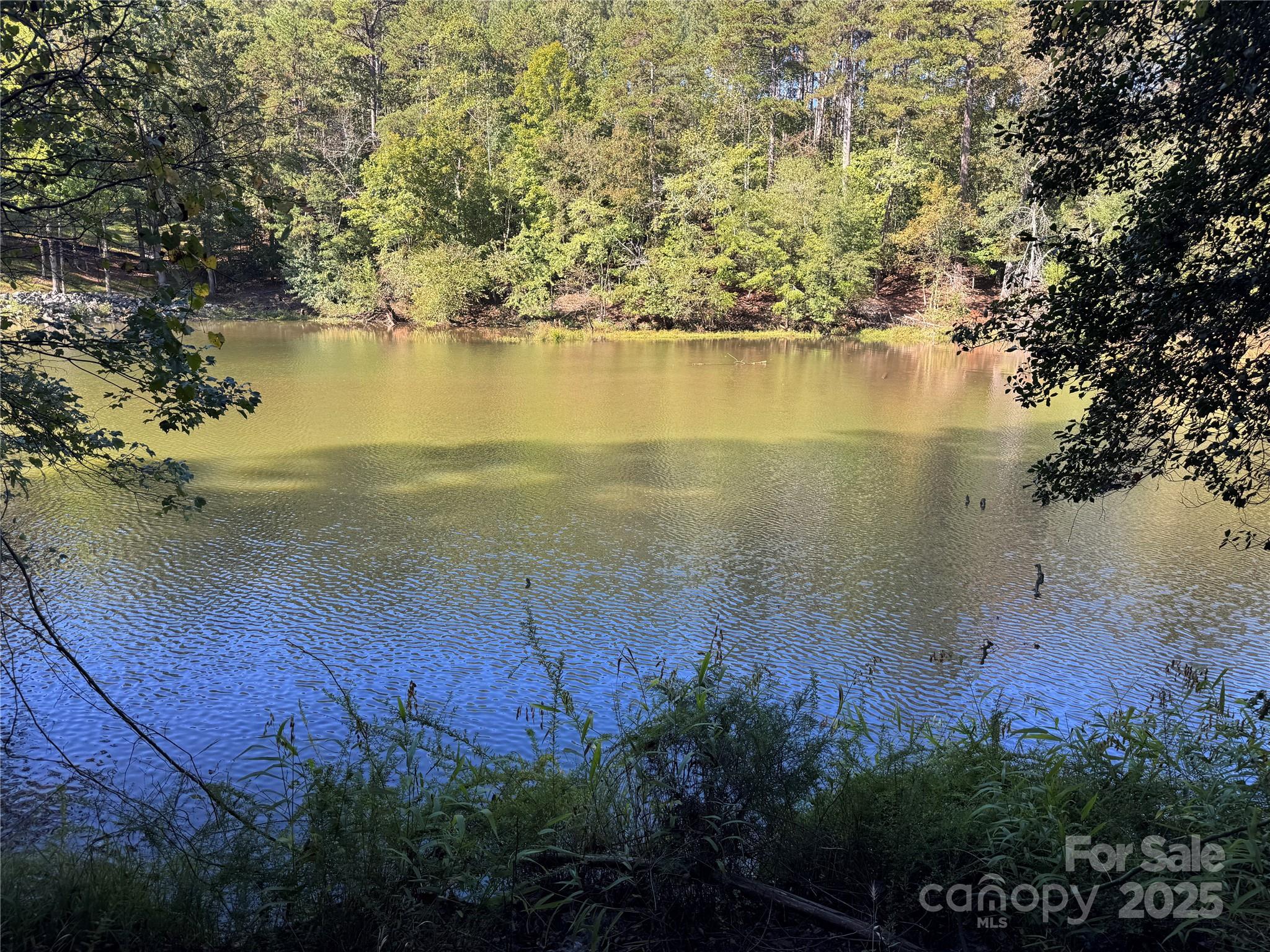 0 Hayes Mill Road, Unit A1 Granite Falls, NC 28630 - Photo 25 of 34 an aerial view of ocean with green space