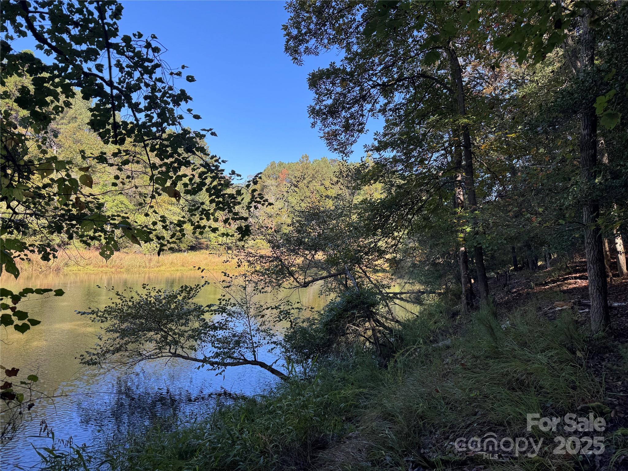 0 Hayes Mill Road, Unit A1 Granite Falls, NC 28630 - Photo 26 of 34 a view of lot of trees and bushes