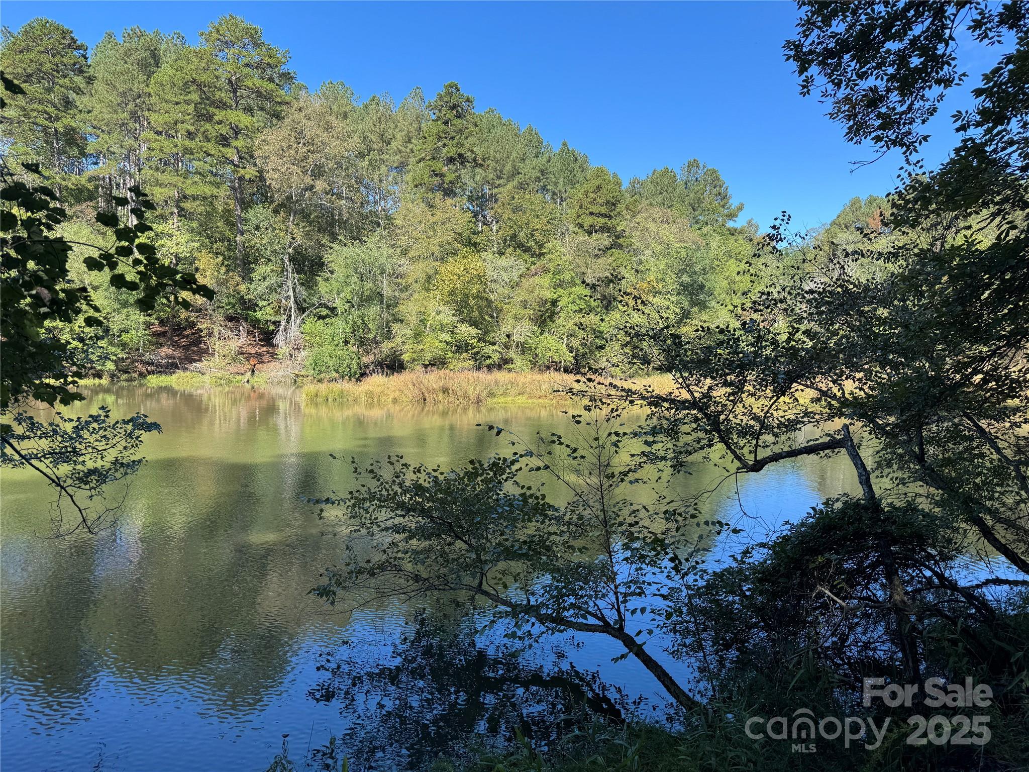 0 Hayes Mill Road, Unit A1 Granite Falls, NC 28630 - Photo 27 of 34 a view of a lake with a tree