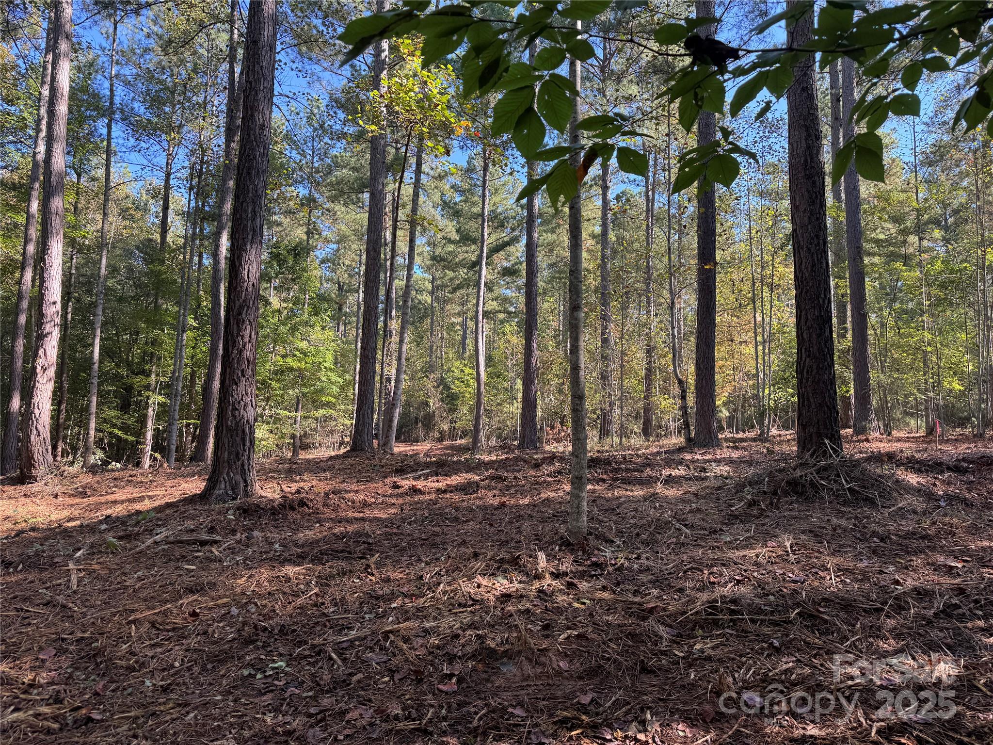 0 Hayes Mill Road, Unit A1 Granite Falls, NC 28630 - Photo 29 of 34 a backyard of a house with lots of green space