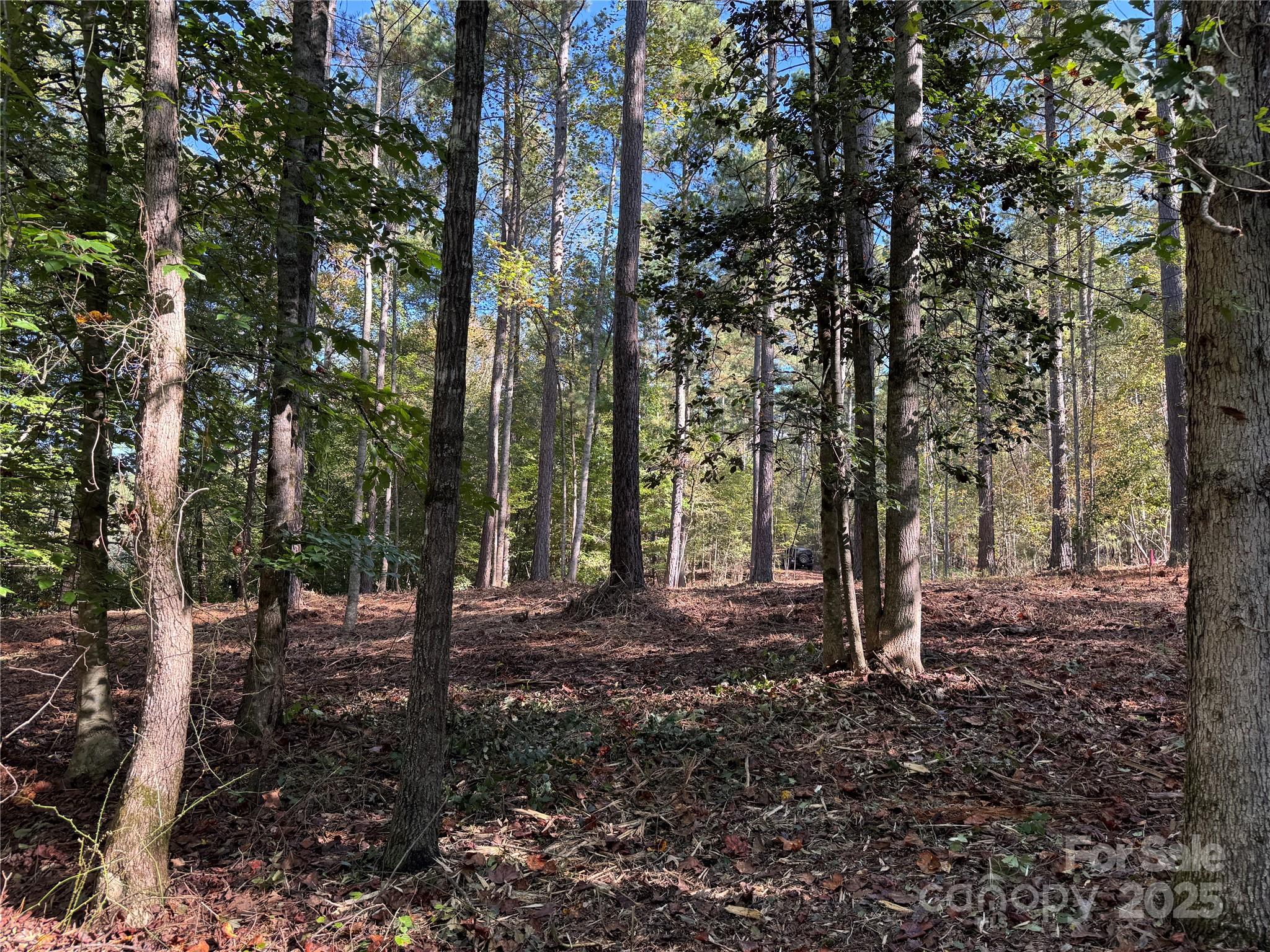 0 Hayes Mill Road, Unit A1 Granite Falls, NC 28630 - Photo 30 of 34 a view of a tree in the middle of a yard