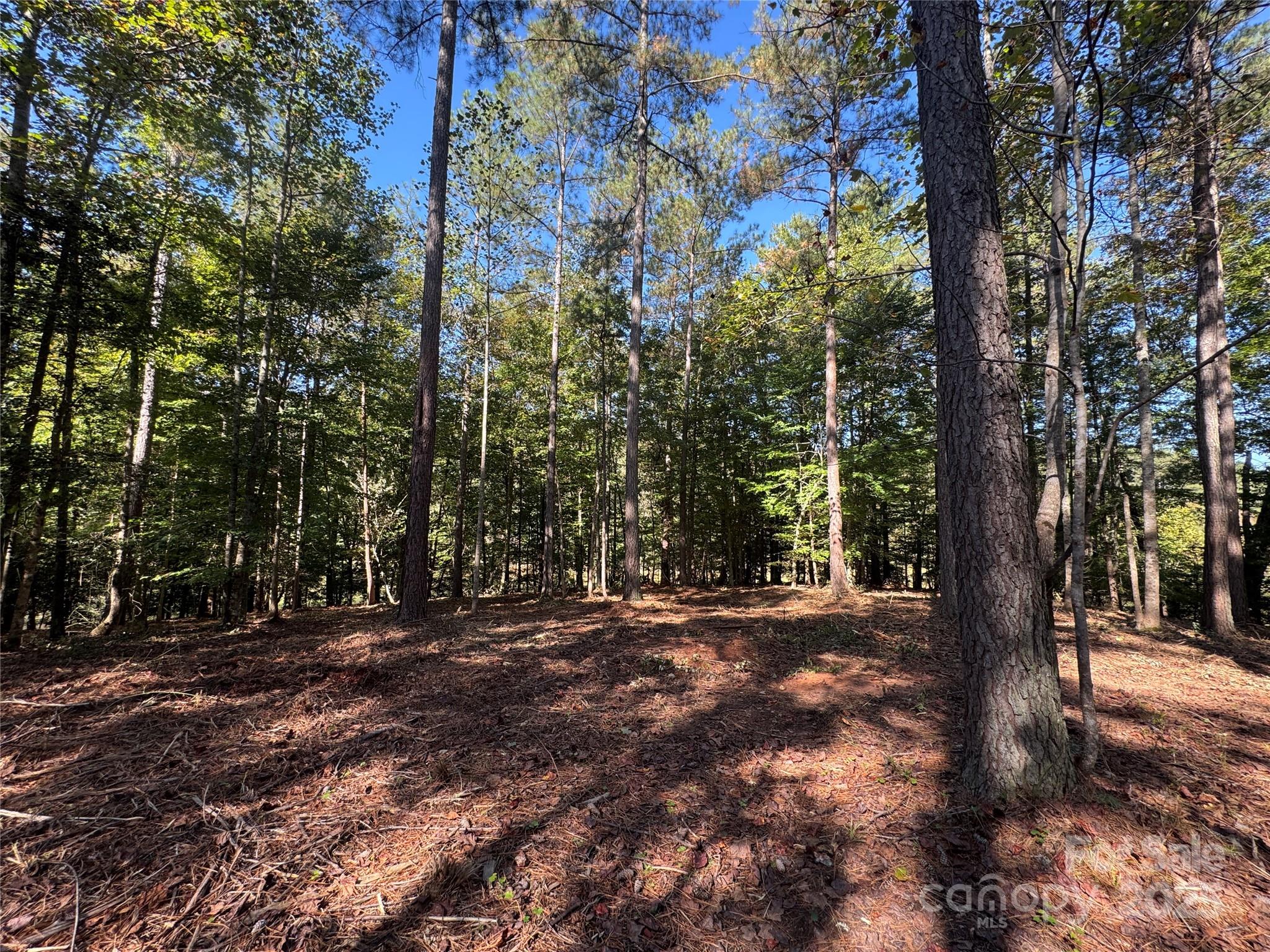 0 Hayes Mill Road, Unit A1 Granite Falls, NC 28630 - Photo 32 of 34 a view of outdoor space with trees