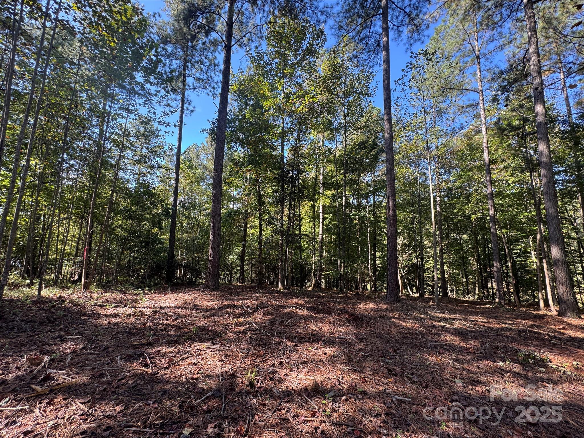 0 Hayes Mill Road, Unit A1 Granite Falls, NC 28630 - Photo 33 of 34 a view of outdoor space with trees