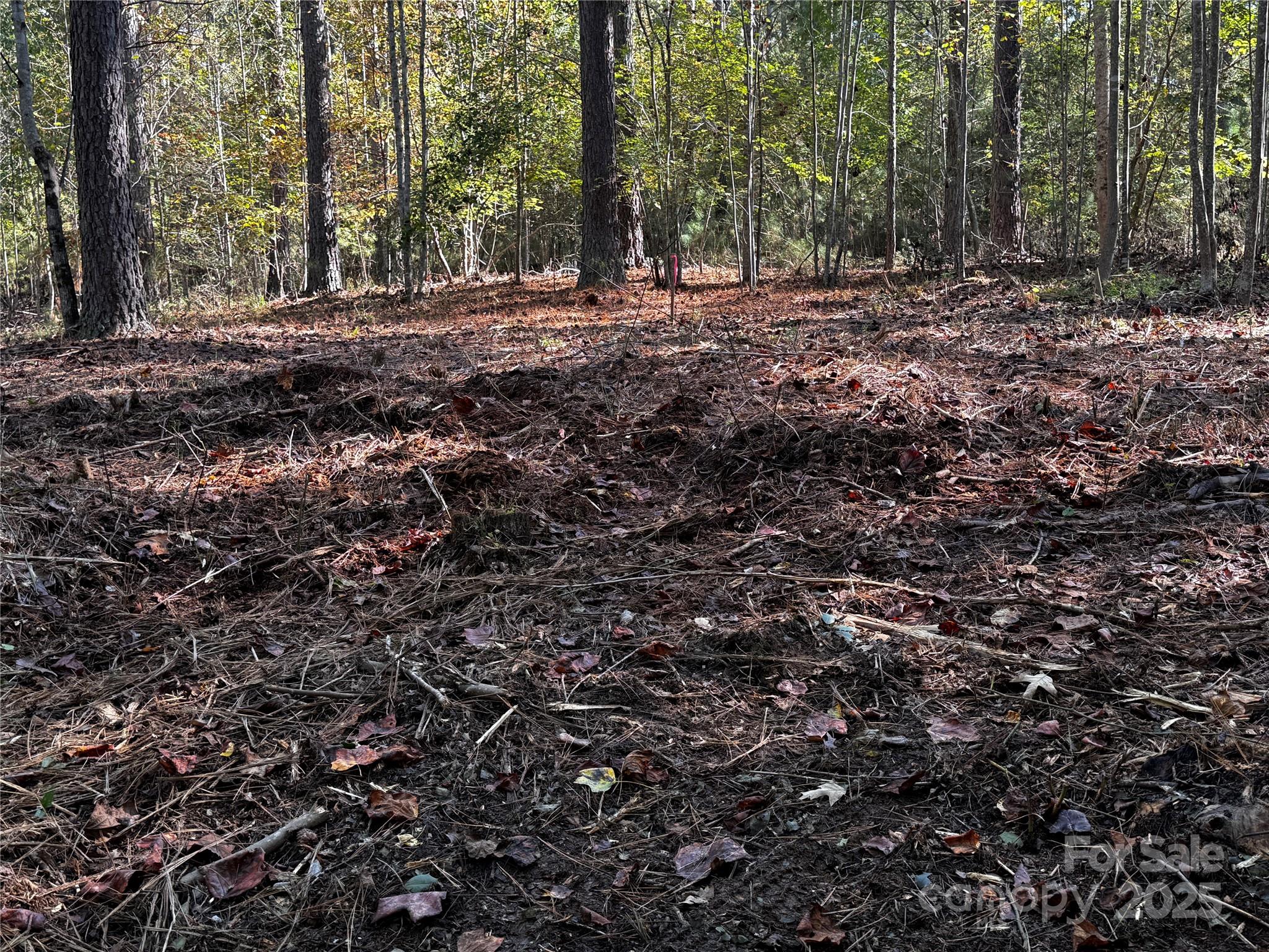 0 Hayes Mill Road, Unit A1 Granite Falls, NC 28630 - Photo 4 of 34 a view of outdoor space with trees