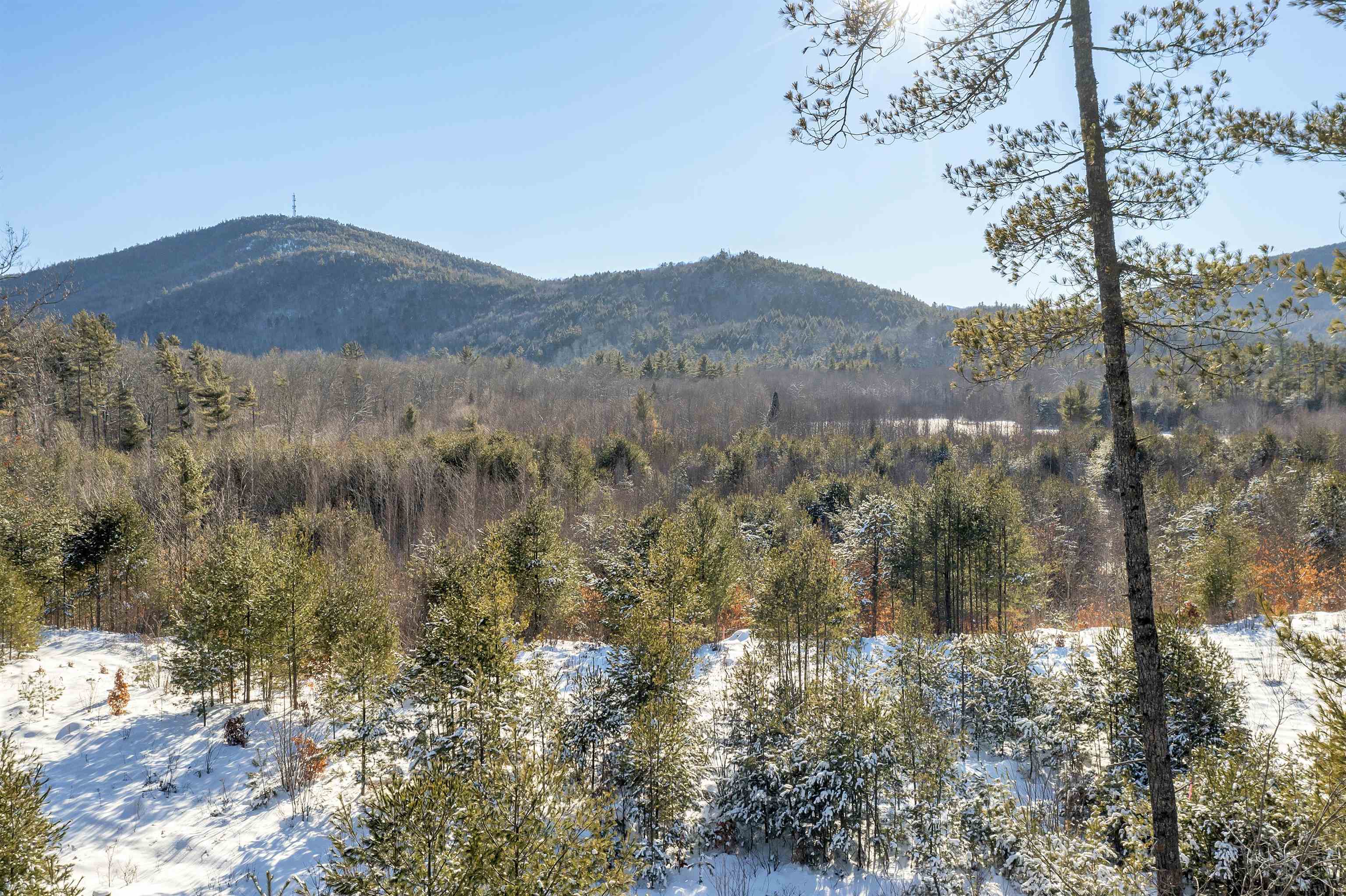 51-2 Depot Road Tamworth, NH 03886 - Photo 21 of 32