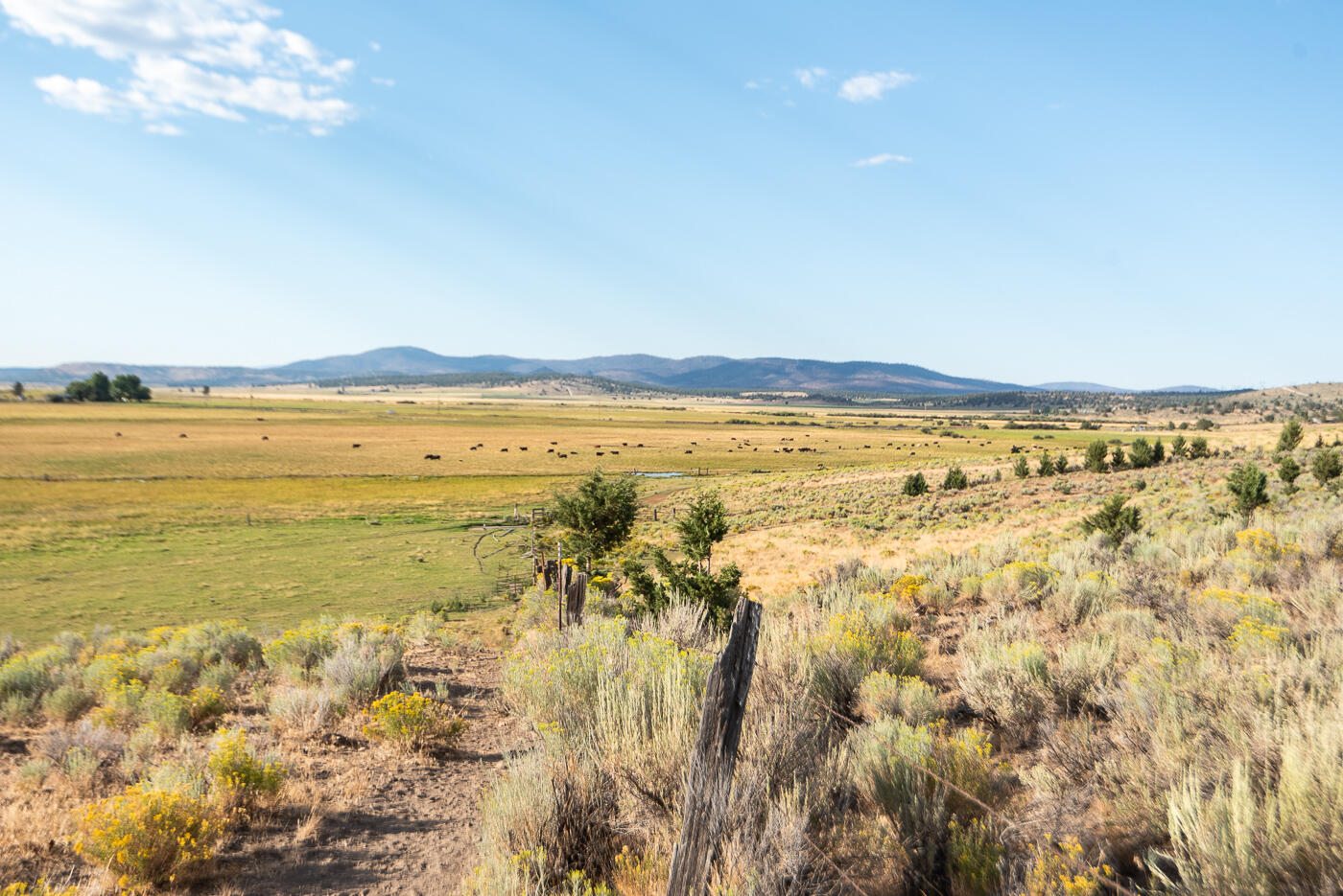 44220 Highway 140 Beatty, OR 97621 - Photo 55 of 101 Hwy 140_Chad-46