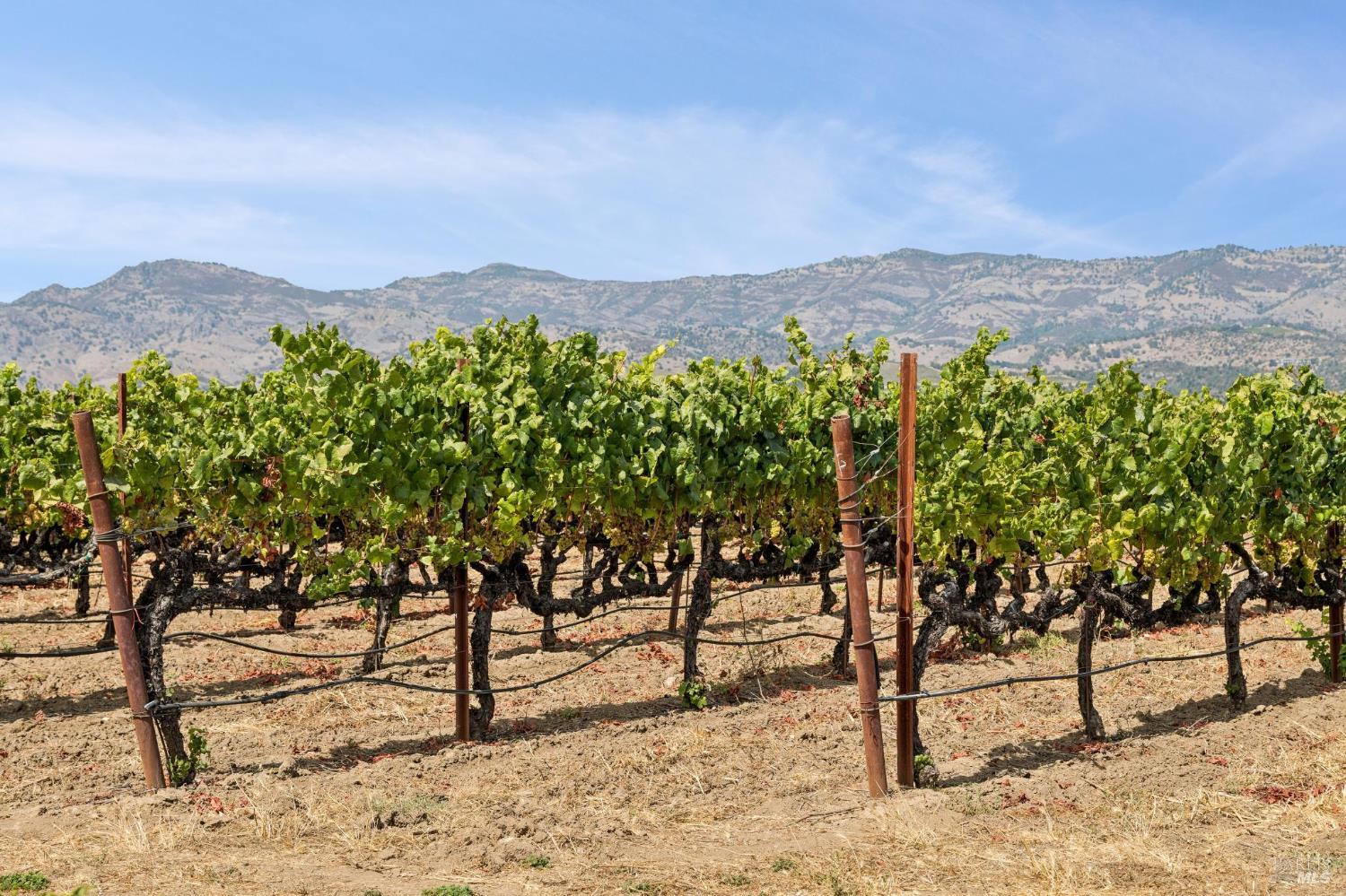 55 Hunter Ranch Road Napa, CA 94558 - Photo 92 of 99 Gallery Image 92