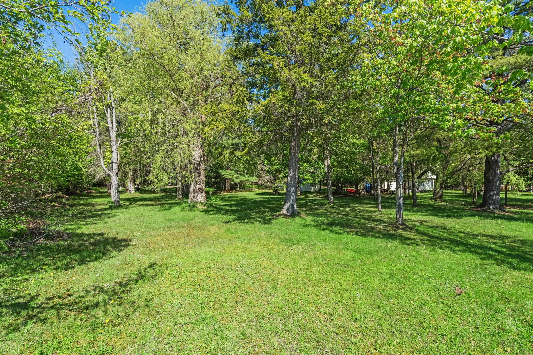 5252 6 Mile Lake Road Ellsworth, MI 49729 - Photo 46 of 76