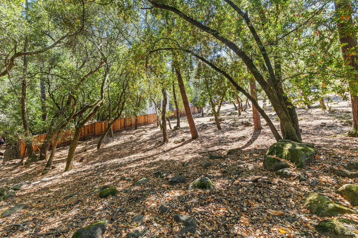 796 Los Olivos Road Santa Rosa, CA 95404 - Photo 6 of 8 Gallery Image 6