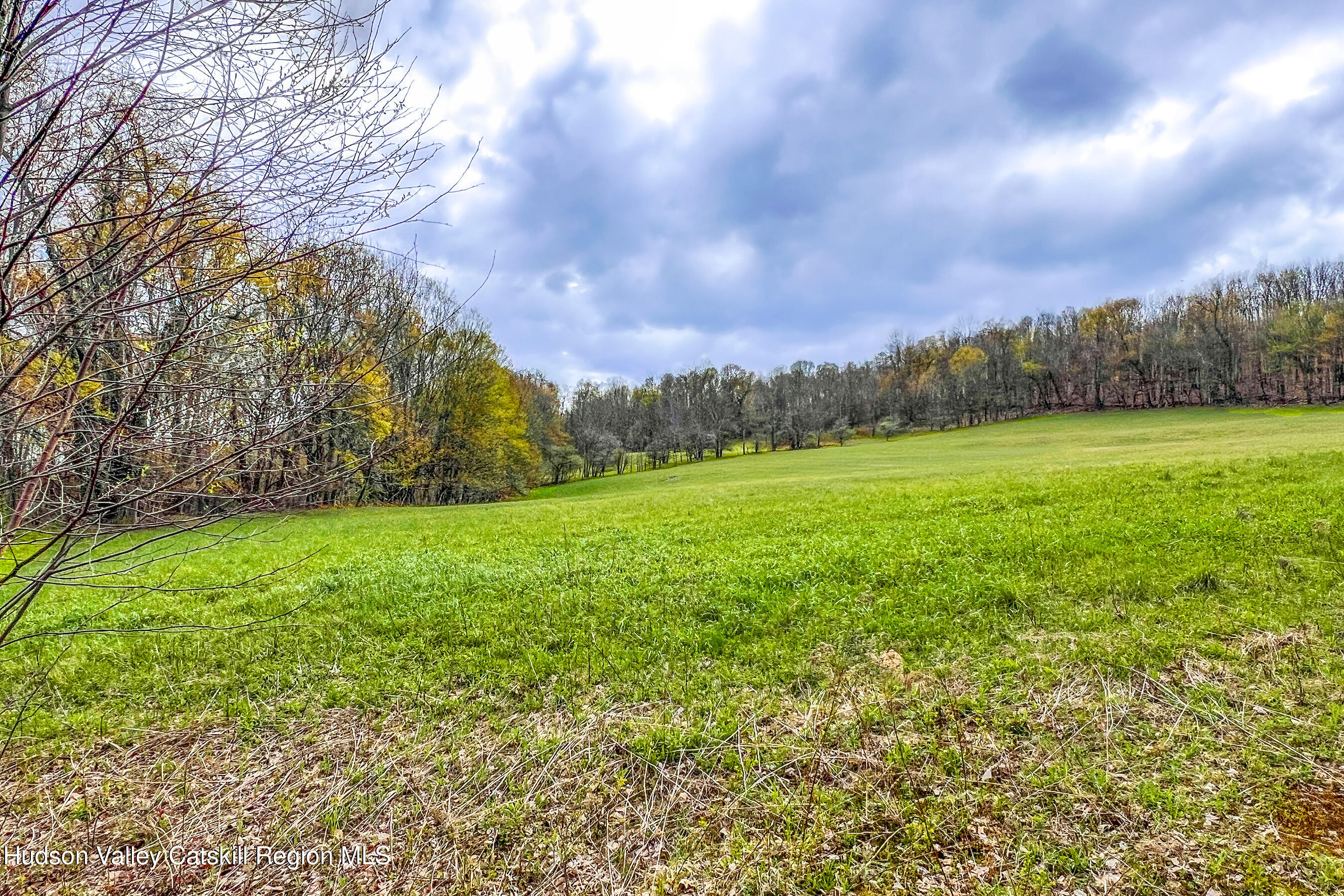 0 Brownell Road Bloomville, NY 13739 - Photo 10 of 39 23 acres Brownell Rd -- 008