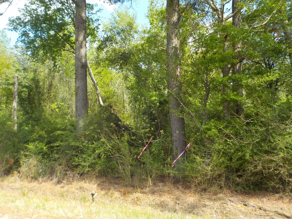 5.3-ac Memphis Church Road Dothan, AL 36301 - Photo 25 of 29